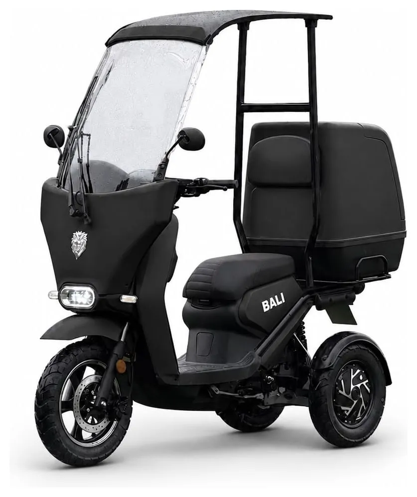 Kucher Bali trike with a windshield, roof and delivery box – black