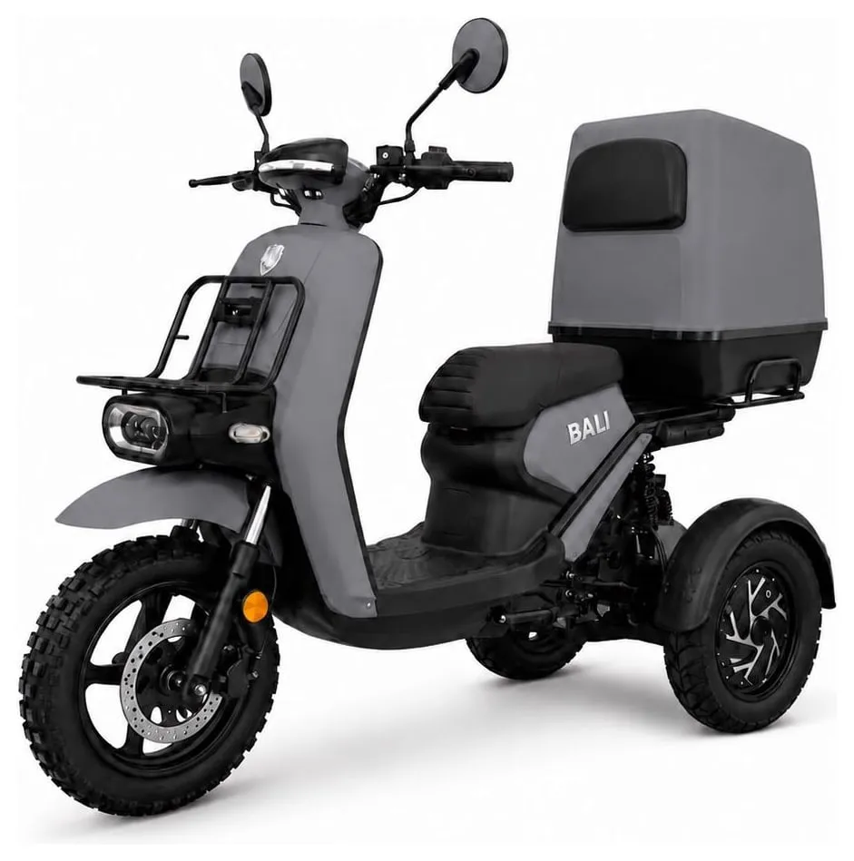 Kucher Bali trike with a delivery box – grey