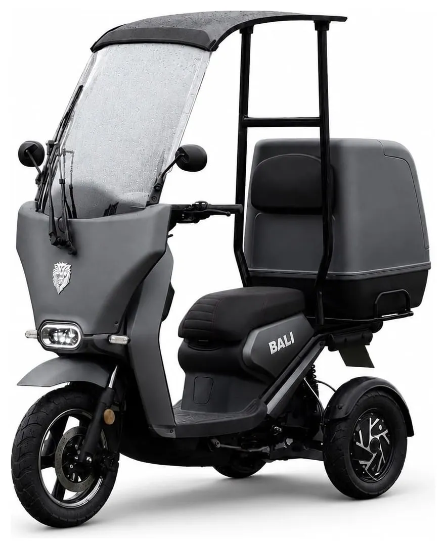 Kucher Bali trike with a windshield, roof and delivery box – grey