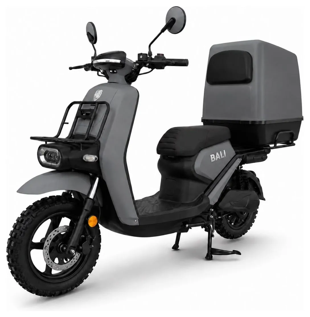 Kucher Bali e-⁠scooter with a delivery box – grey