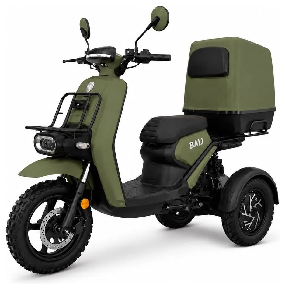 Kucher Bali trike with a delivery box – olive